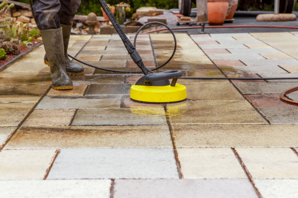 Best Animal Enclosure Cleaning  in Cloverdale, CA